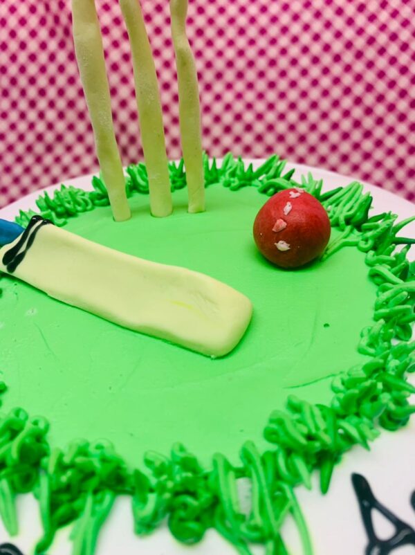 cricket theme cake - Image 3